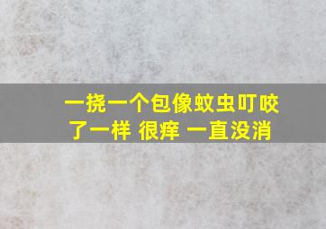 一挠一个包像蚊虫叮咬了一样 很痒 一直没消